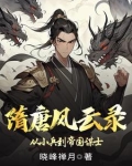 隋唐风云录:从小兵到帝国谋士