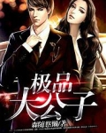 极品大公子