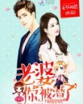 霸道宠婚：老婆，你被潜了
