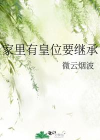 家里有皇位要继承微云烟波