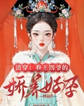 清穿：卷王四爷的娇养好孕侧福晋