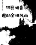 神算娇妻：搅动全城风雨