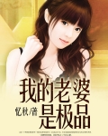 我的老婆是极品