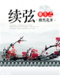 重生之续弦