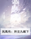 凤凰传：拜见九殿下