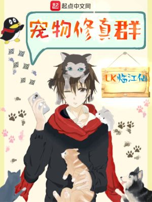修真江湖宠物进阶