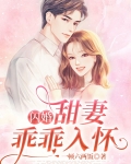 闪婚：甜妻乖乖入怀