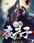 三国夜天子
