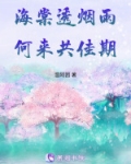 海棠透烟雨，何来共佳期