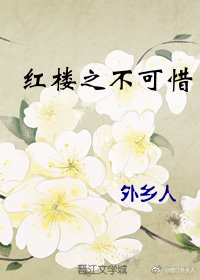 红楼之清风入梦