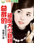 总裁的顽皮大少奶奶