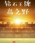 钻石王牌高之野