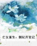 亡女重生：侧妃升官记