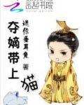 夺嫡带上猫