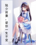陆少前妻：爱你一生不变