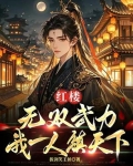 红楼：无双武力，我一人镇天下