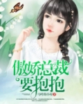 傲娇总裁要抱抱