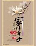 重生之王府家生子
