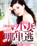 甜蜜追缉:小妻哪里逃
