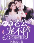 闪婚鲜妻：神秘老公宠不停