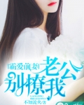 霸爱前妻：老公别撩我