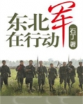 东北军在行动
