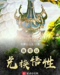 我可以兑换悟性