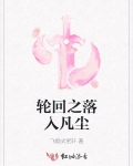 轮回之落入凡尘