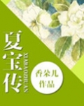 （重生）夏宝传