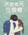 大佬每天在撒糖