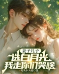 妻子儿子选白月光，我走你们哭啥