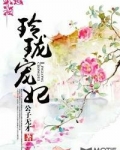 玲珑宠妃