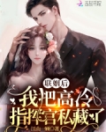联姻后，我把高冷指挥官私藏了