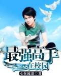 最强高手在校园