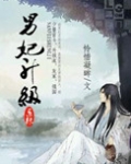 男妃升级系统