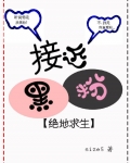 接近黑粉