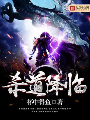 道君降临 小说