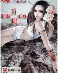超级升职系统
