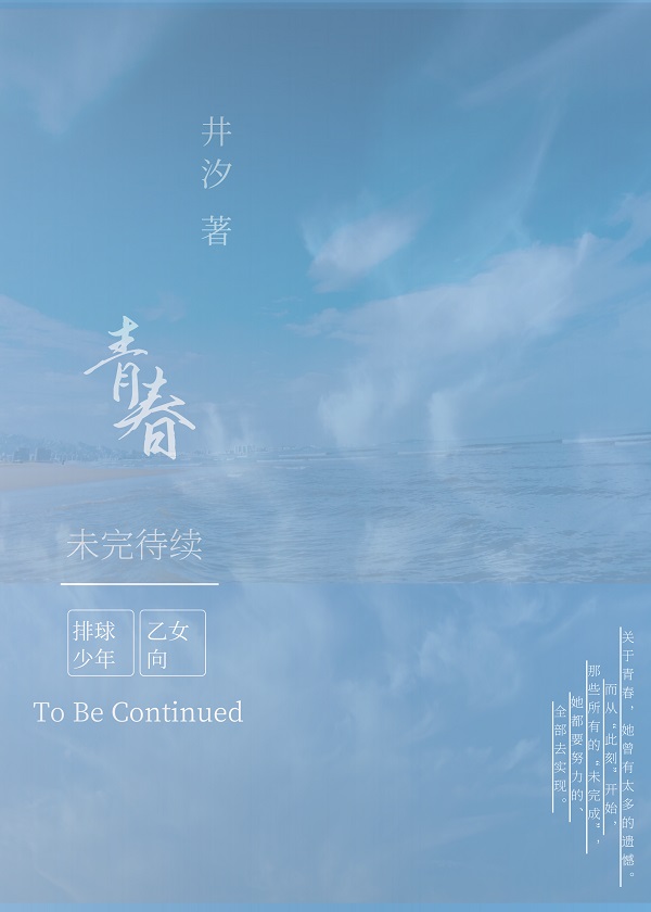 排球少年赌在春高上的青春
