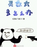 灵感太多怎么办