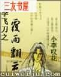 小李飞刀之覆雨翻云