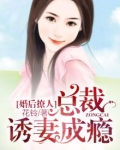 婚后撩人:总裁诱妻成瘾