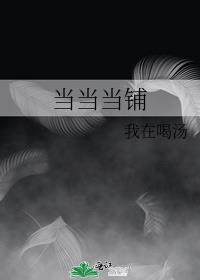 当当当铺断句