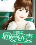 闪婚之霸爱娇妻
