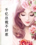 千亿总裁不好惹