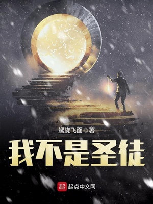 我不是圣子笔趣阁