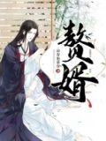 赘婿剧情介绍